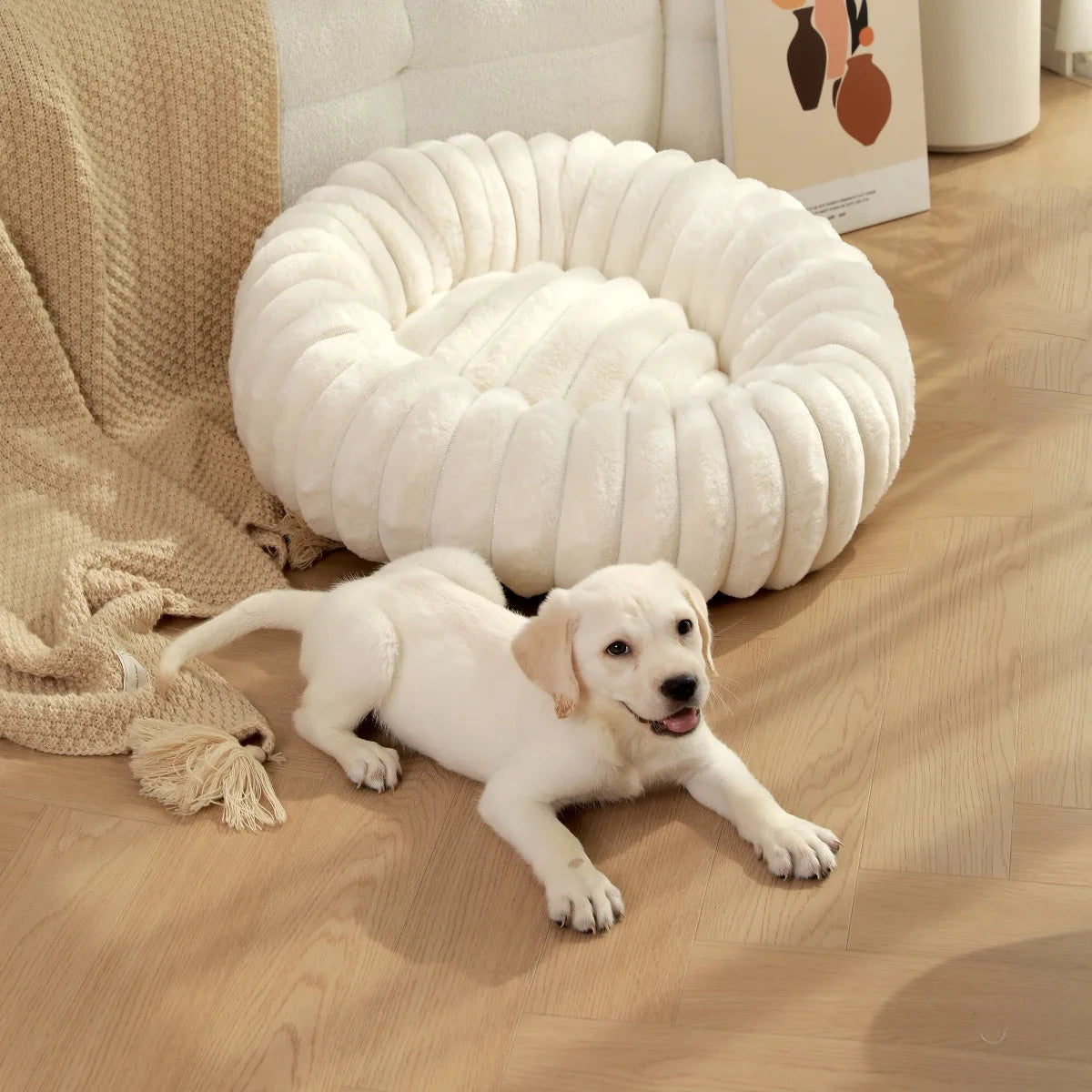 Cozy Round Pet Bed for Large Dogs and Cats