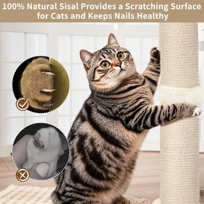 Interactive Cat Scratcher Tree with Hanging Toys and Ball Track