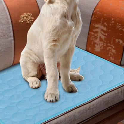 Self Cooling Mat for Dogs and Cats in Hot Weather