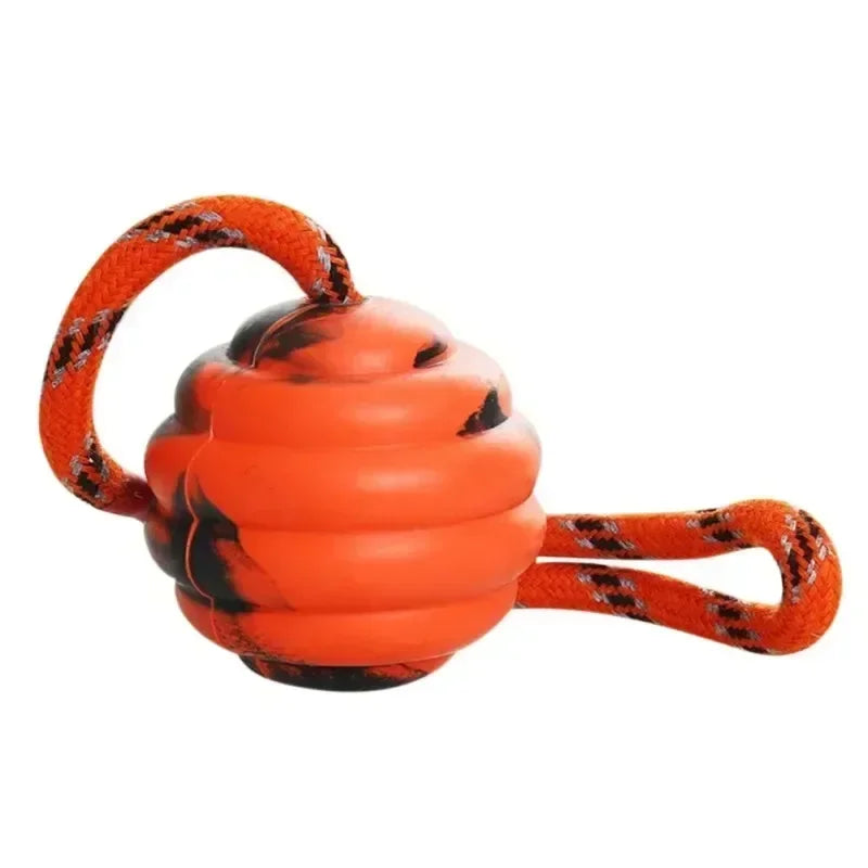 Interactive Rubber Dog Fetch Toy for Fun Training Play