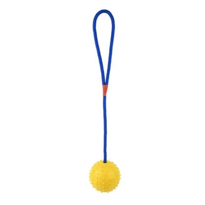 Interactive Rubber Dog Fetch Toy for Fun Training Play
