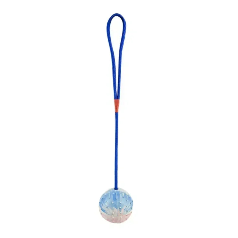 Interactive Rubber Dog Fetch Toy for Fun Training Play