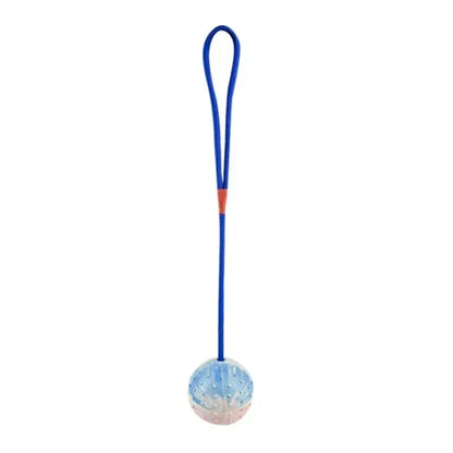Interactive Rubber Dog Fetch Toy for Fun Training Play