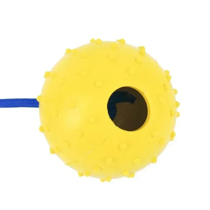 Interactive Rubber Dog Fetch Toy for Fun Training Play