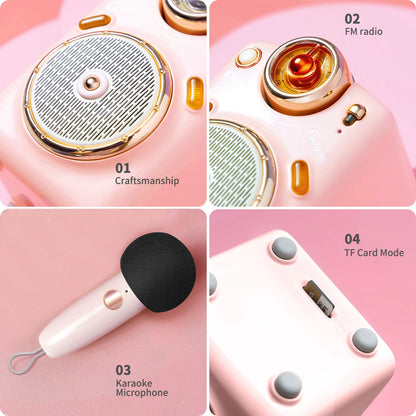 Divoom Fairy-OK Mini Karaoke Speaker with Voice Change Feature