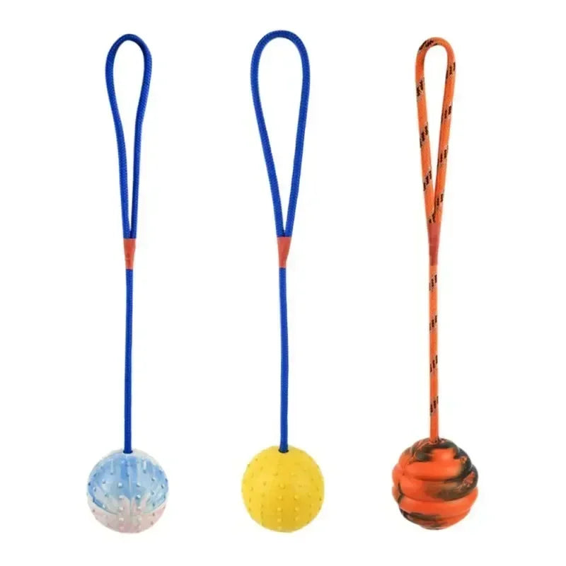 Interactive Rubber Dog Fetch Toy for Fun Training Play