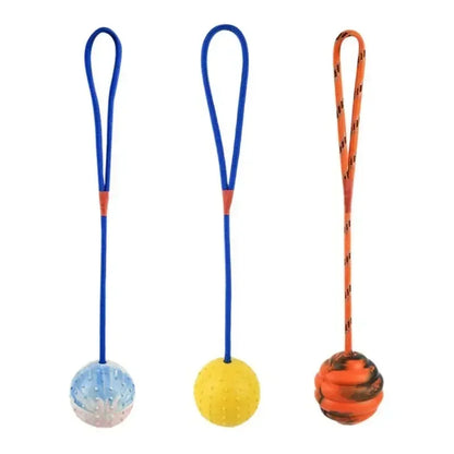 Interactive Rubber Dog Fetch Toy for Fun Training Play