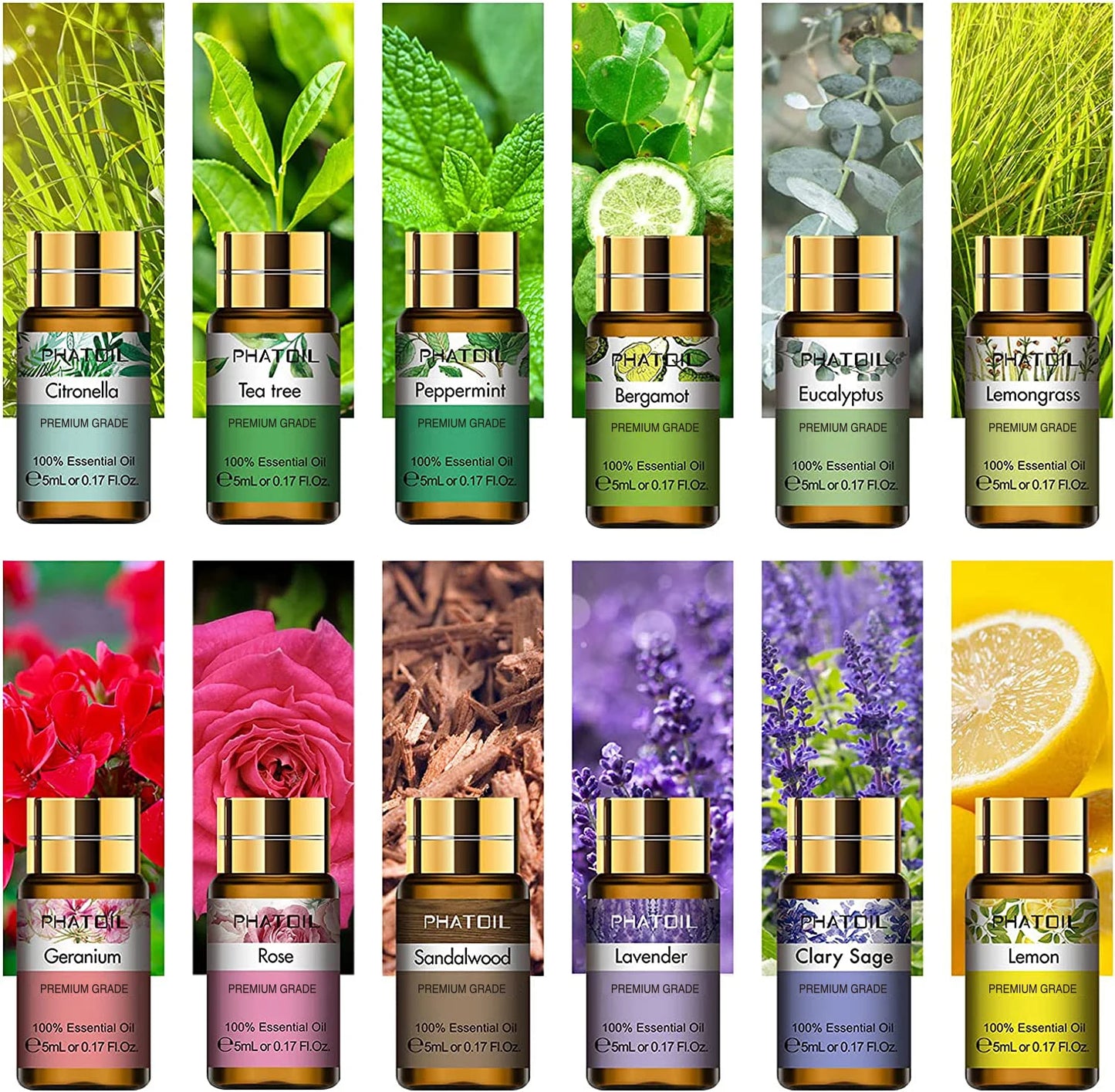 Pure Essential Oils Gift Box for Diffuser and Massage